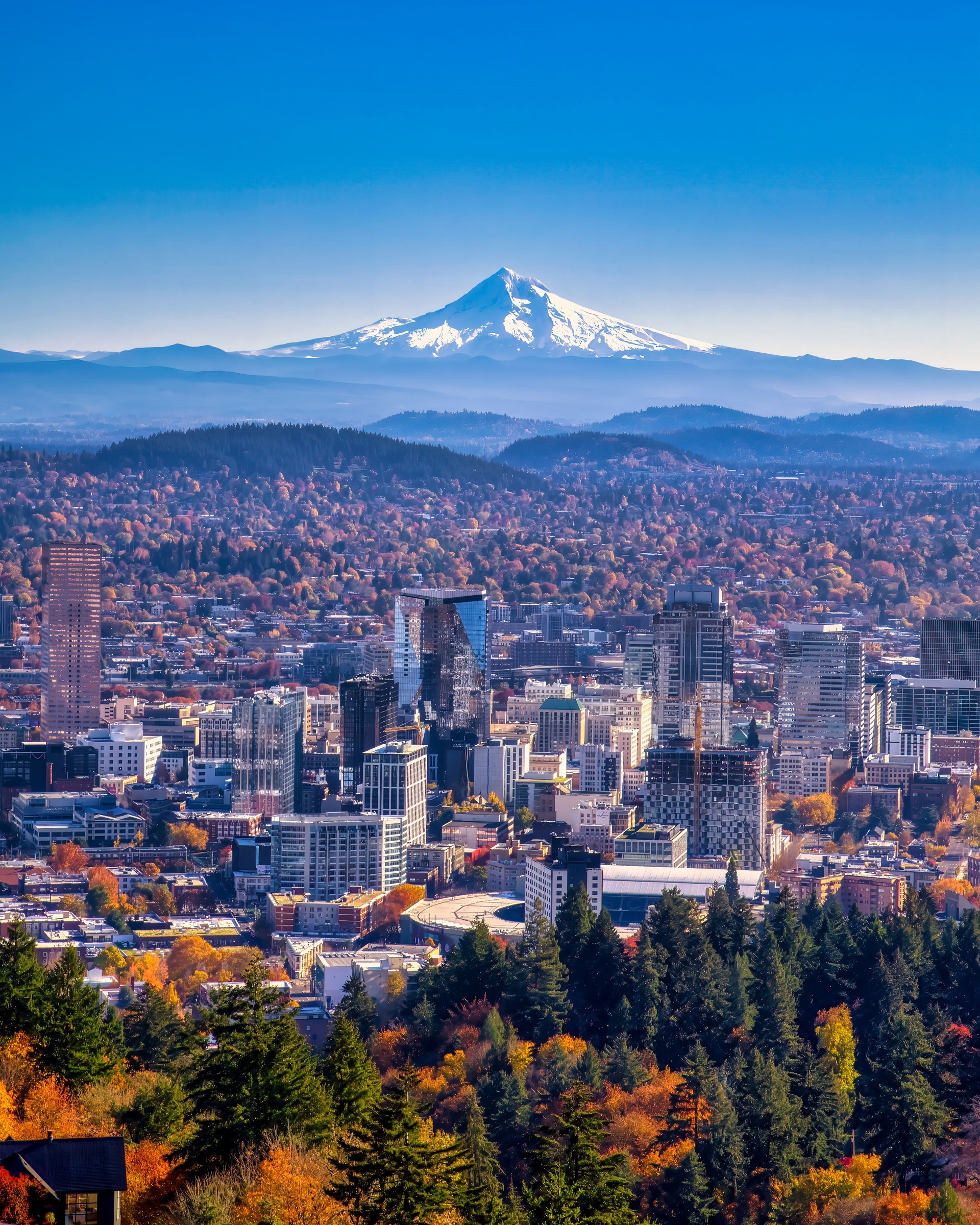 Portland Oregon skyline with Mt. Hood in Autumn
